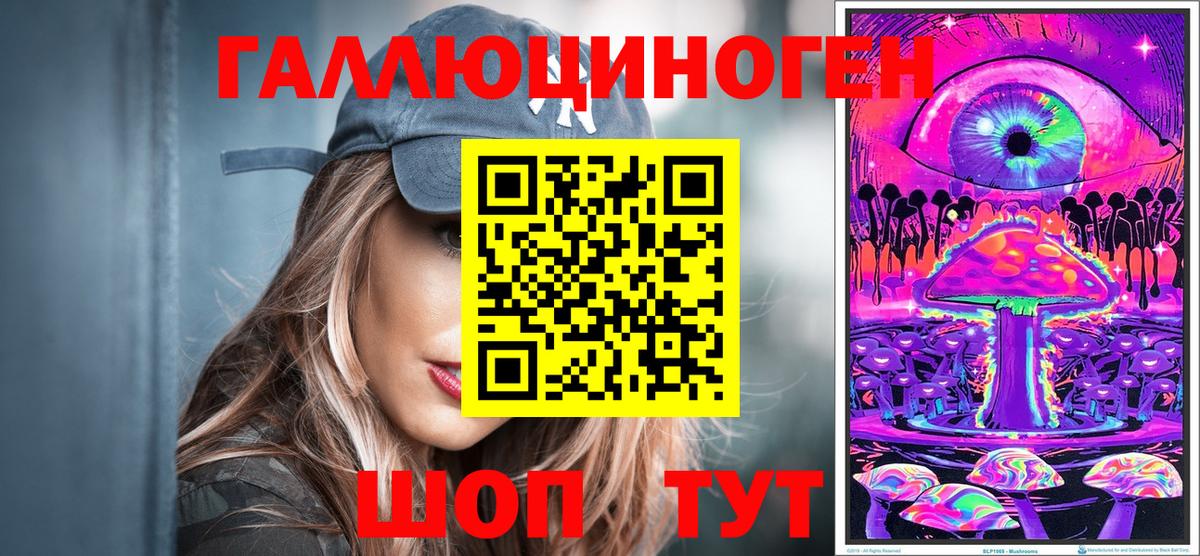 Волхов  Псилоцибиновые грибы Psilocybine cubensis  Вход с VPN 